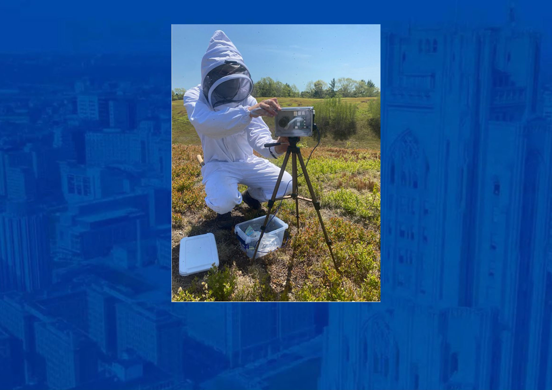 Mason Unger setting up Raspberry Pi camera in Wyman’s wild blueberry field in the Downeast region of Maine.