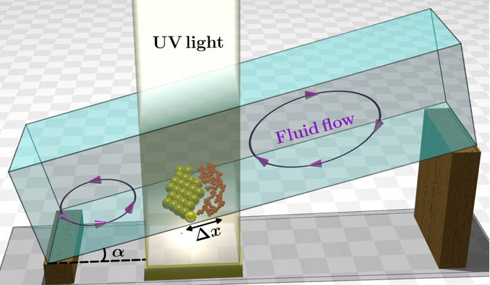 Light-induced Convective Segregation