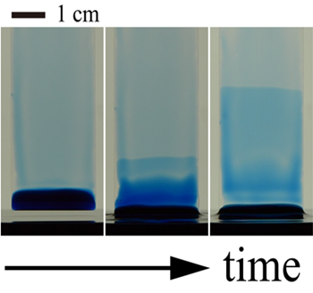 Marangoni driven film