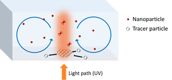 Organization of Particle Islands