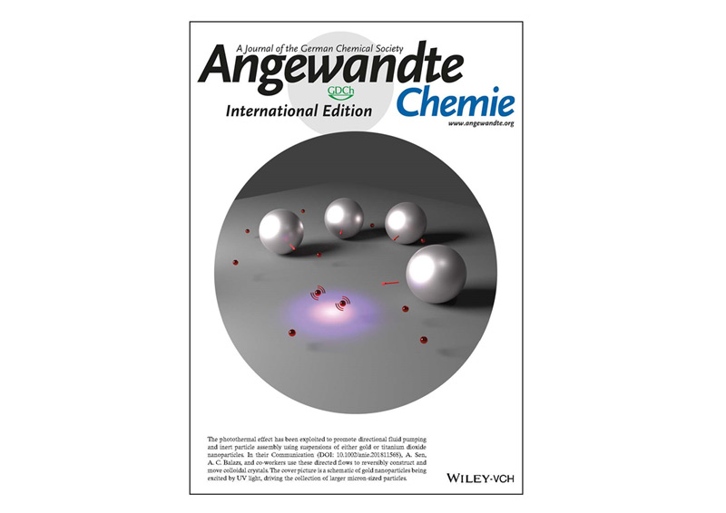 Angewandte Chemie journal