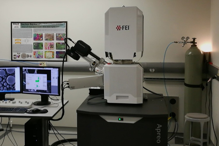 Optical and Electronic Microscopies