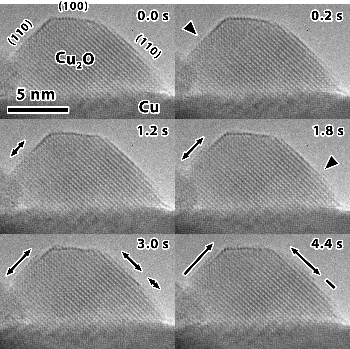 In situ Heating and Gas TEM