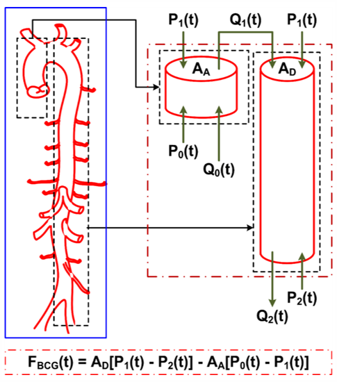 BP waveform analysis