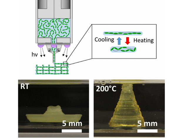 Three-dimensional structures capable of reversible changes in shape
