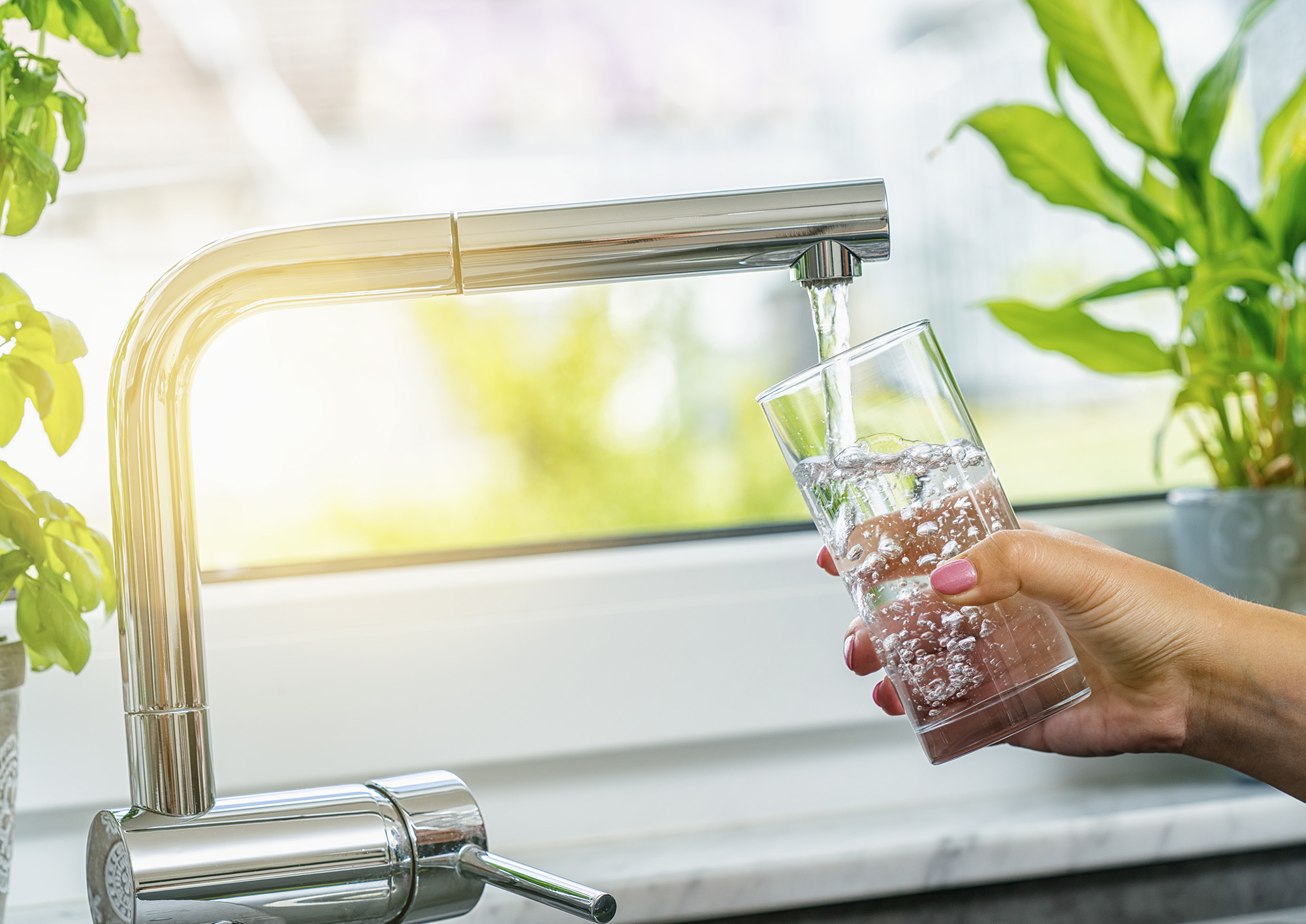 Glass of tap water