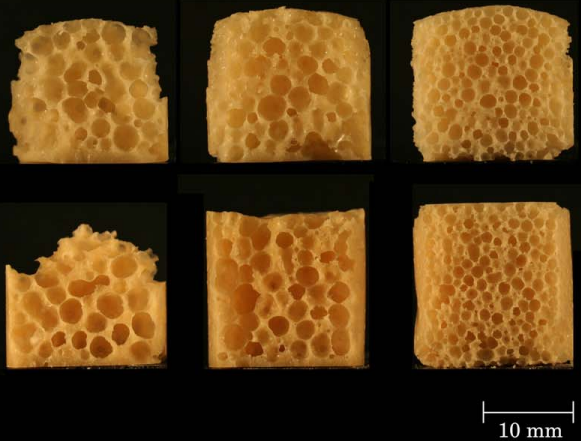 Illustration showing Stabilizing polylactic acid foams byinterfacially-adsorbed particles