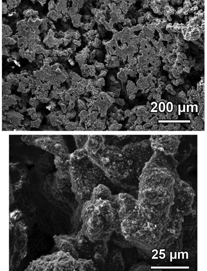 Threedistinct open-pore morphologies from a single particle-filled polymer blend