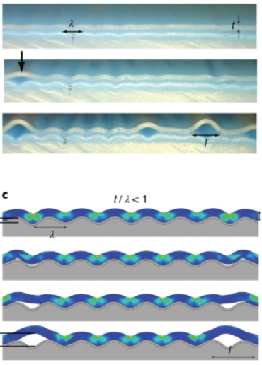 before and after of topography-driven surface renewal