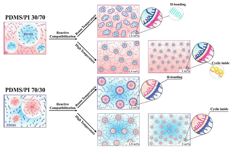 data graphs showing effect of reactive compatibilization on morphological and rheological properties of immiscible homopolymer blends of polydimethylsiloxane (PDMS) and polyisoprene (PI)