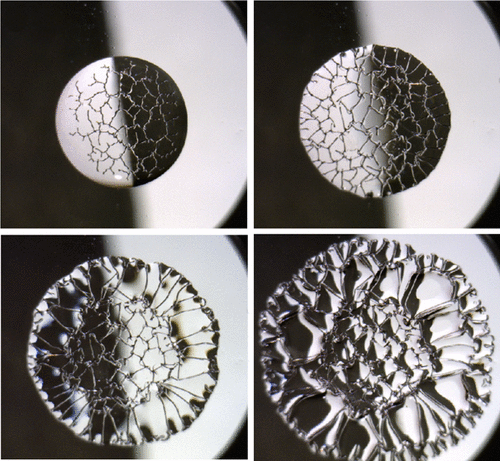 Illustration of Stretching-induced wrinkling in plastic-rubber composites