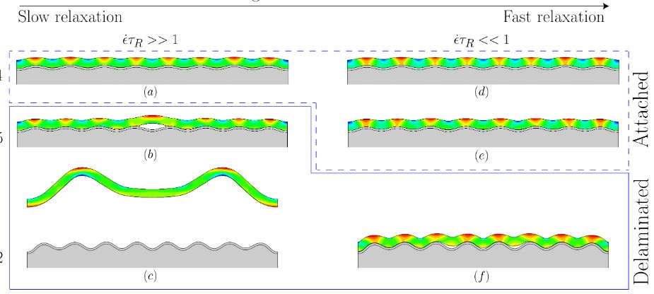 slow relaxation and fast relaxation with delaminated and attached graphs