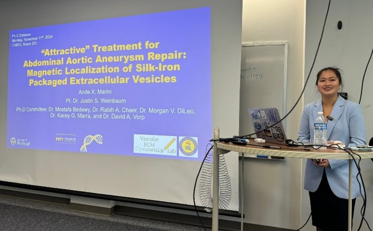attractive treatment for abdominal aortic aneurysm repair: Magnetic localization of the silk-iron packaged extracellular vesicles