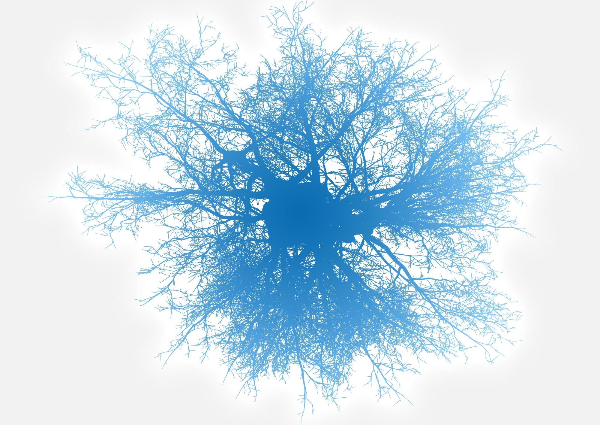 decision-making pathways that branch off over time like the limbs of a tree
