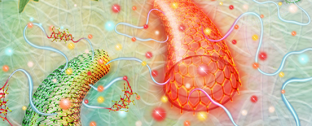 The ACS Applied Nano Materials cover illustrates a new approach for creating helix-rich RSF films based on molecular interactions between the protein molecules and carboxyl-functionalized surfaces of a small quantity of added carbon nanotubes (CNTs). Local heating of CNTs using microwave irradiation (depicted here as glowing red) then leads to the formation of helical conformations in fibroins near the CNTs. (Randall McKenzie/McKenzie Illustrations)