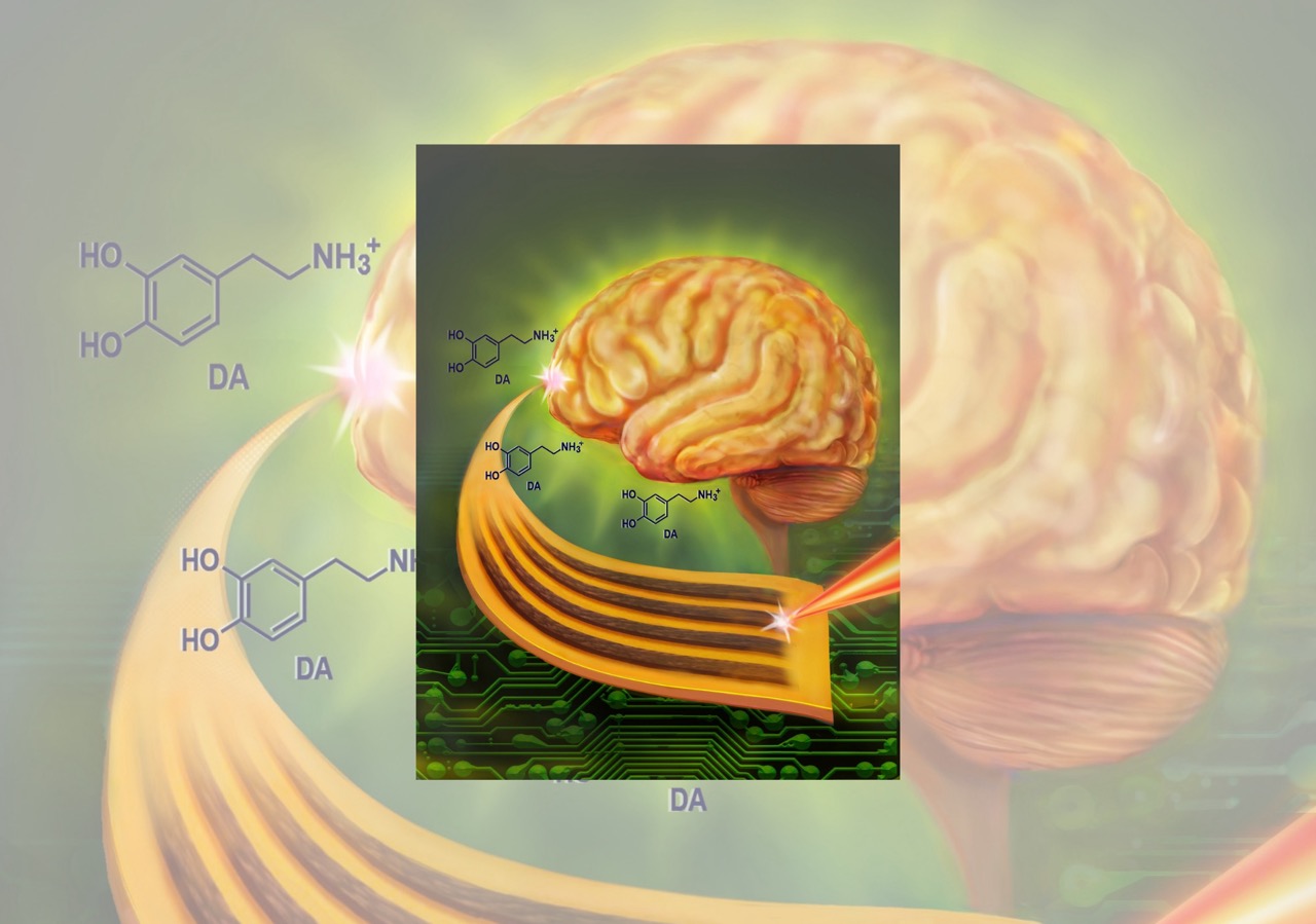 Cover art of a brain with circuits and graphene pattern