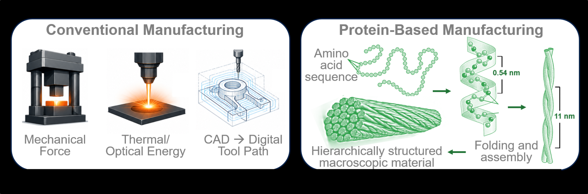 Bedewy research image