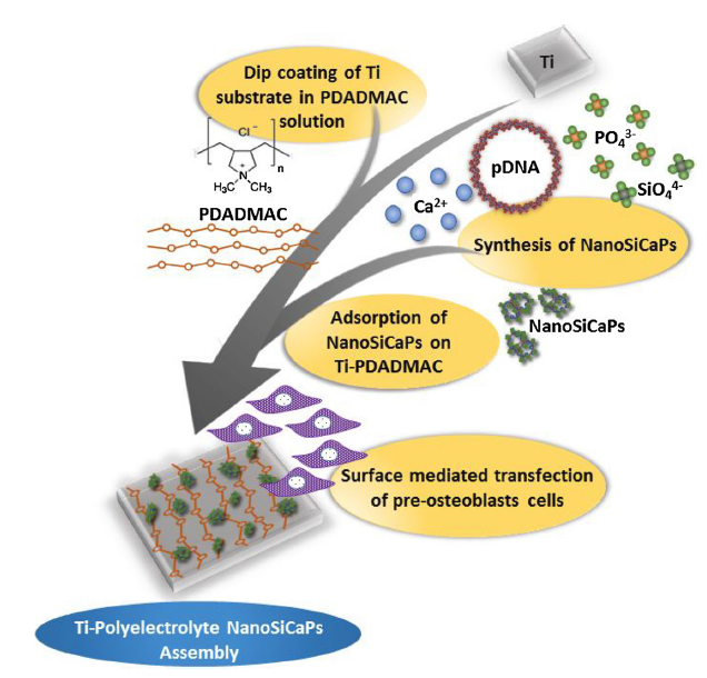 Nanostructured Calcium Phosphates for Non-Viral Gene Delivery