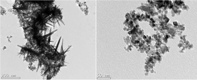 The bright field TEM image (Ir(0.25)Nb(0.75))O2 with 10wt% F shows the presence of fine particles in the nanometer range (~5-8nm)