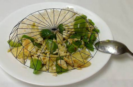 eButton app scanning a dinner plate