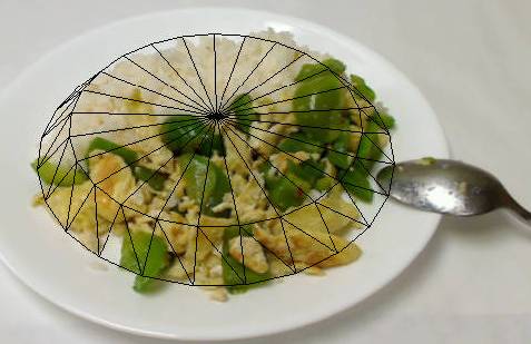 Photo of food with eButton analysis on top