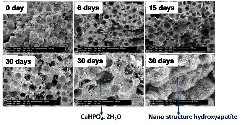 Composite Bone Scaffolds for Tunable Drug Delivery