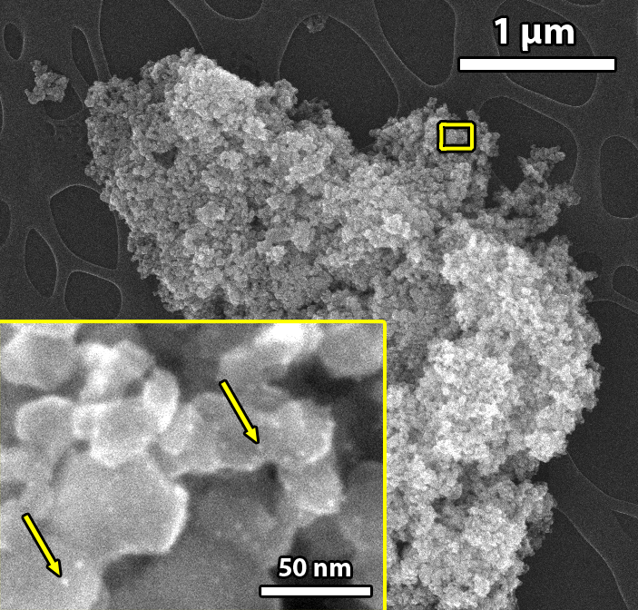 Surface Topography (SEM)