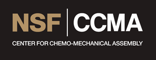NSF CCMA center for chemo mechanical assembly logo