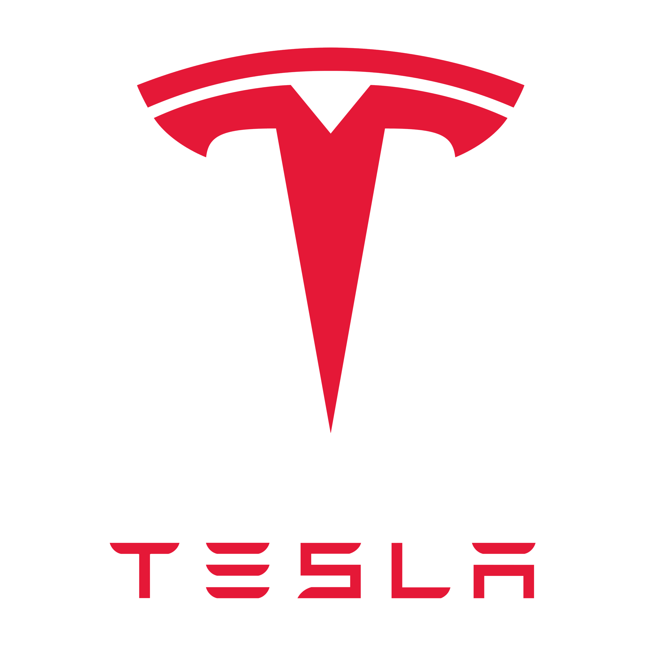 tesla logo