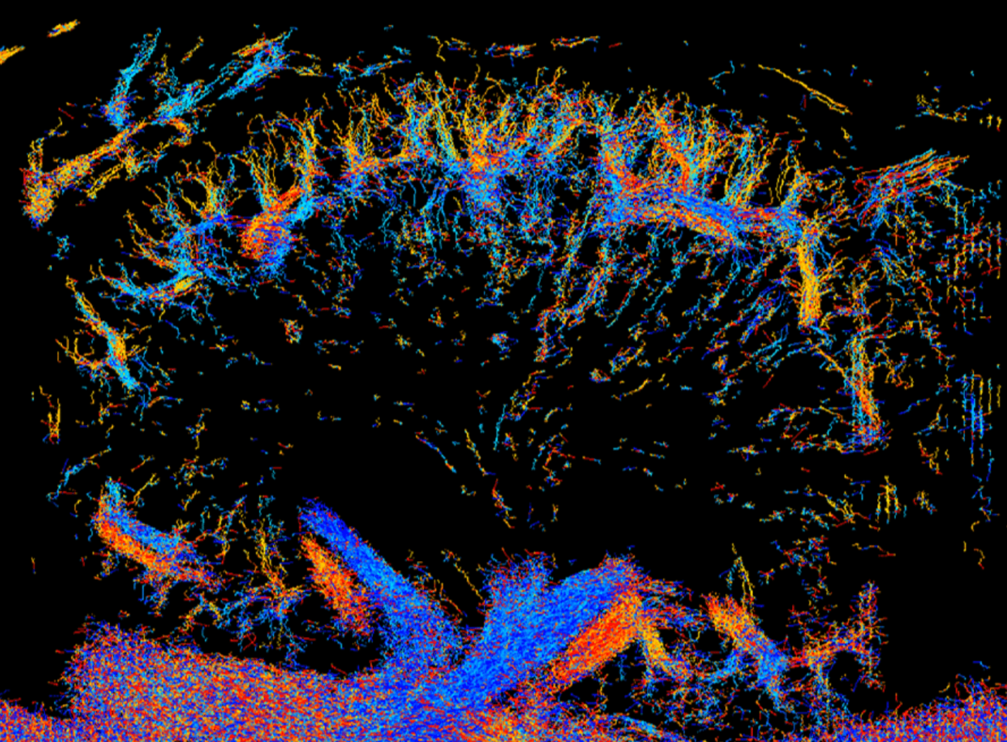 Medical imaging scan