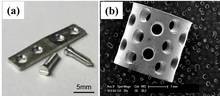 Degradable Magnesium Alloys as Novel Bone Implants