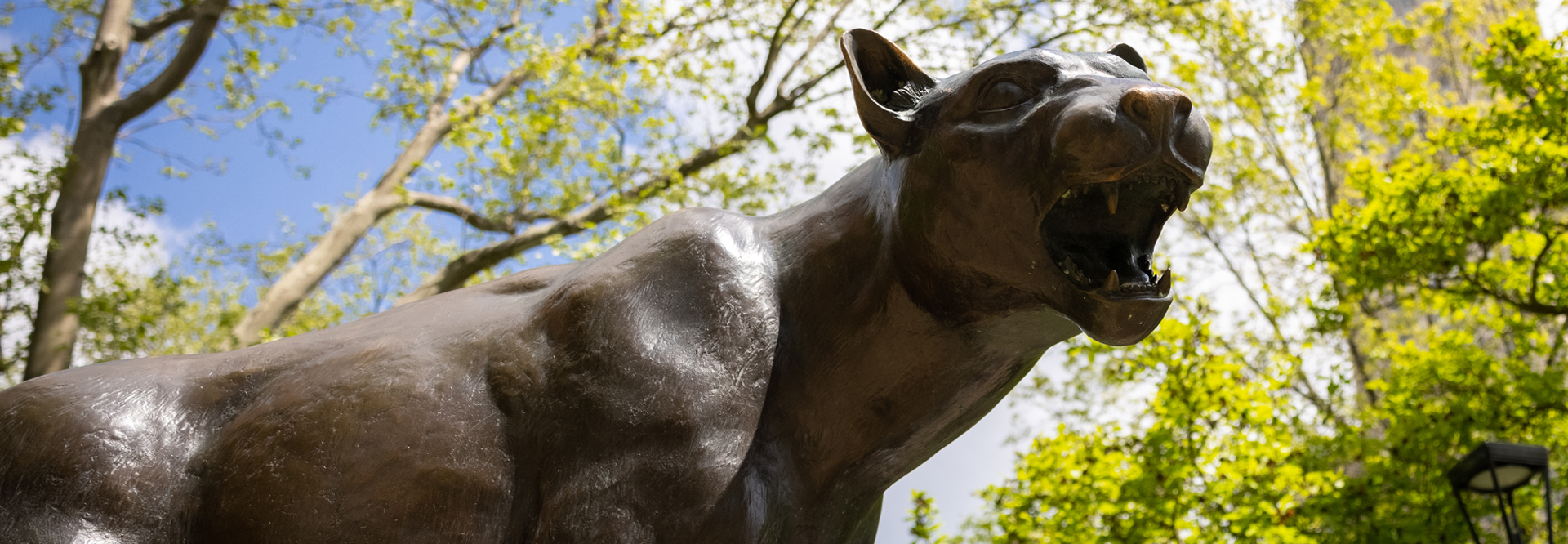 The pittsburgh panther statue on campus
