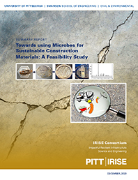 Irise Report Microbes