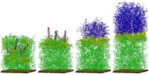 Rendering of new composites that can regenerate