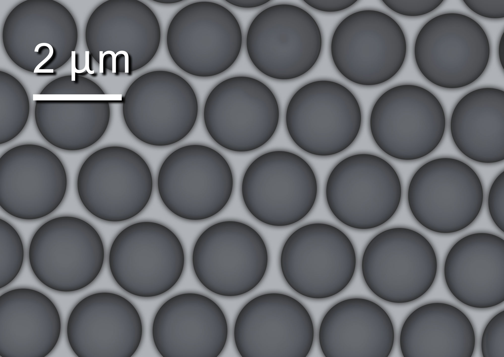 A grid of circles under a microscope