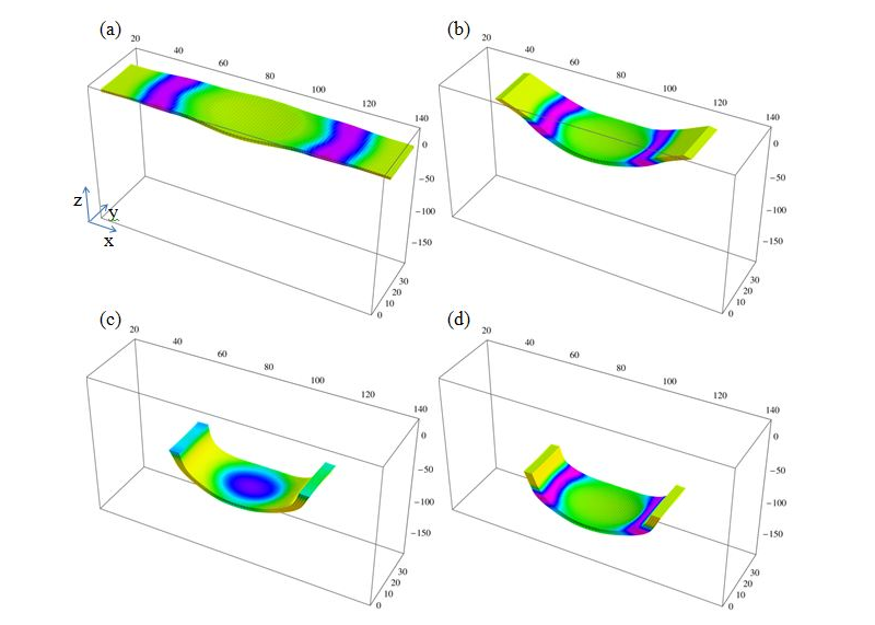 Evolution of the SP-BZ gel