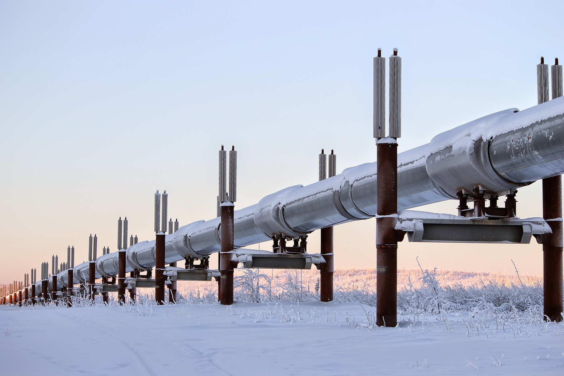 An oil pipeline in Alaska. Credit: Robson Machado / Pixabay