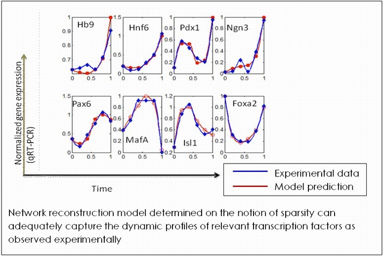 network reconstruction model