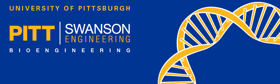 Logo for compas program - Bioengineering