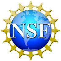  NSF logo 