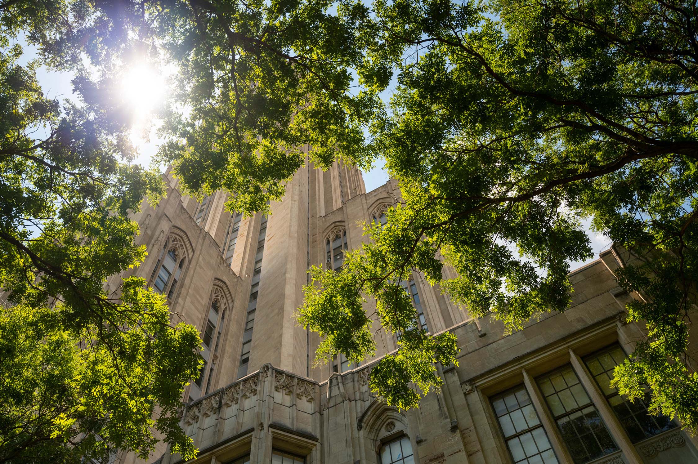 Outside of Cathedral of Learning