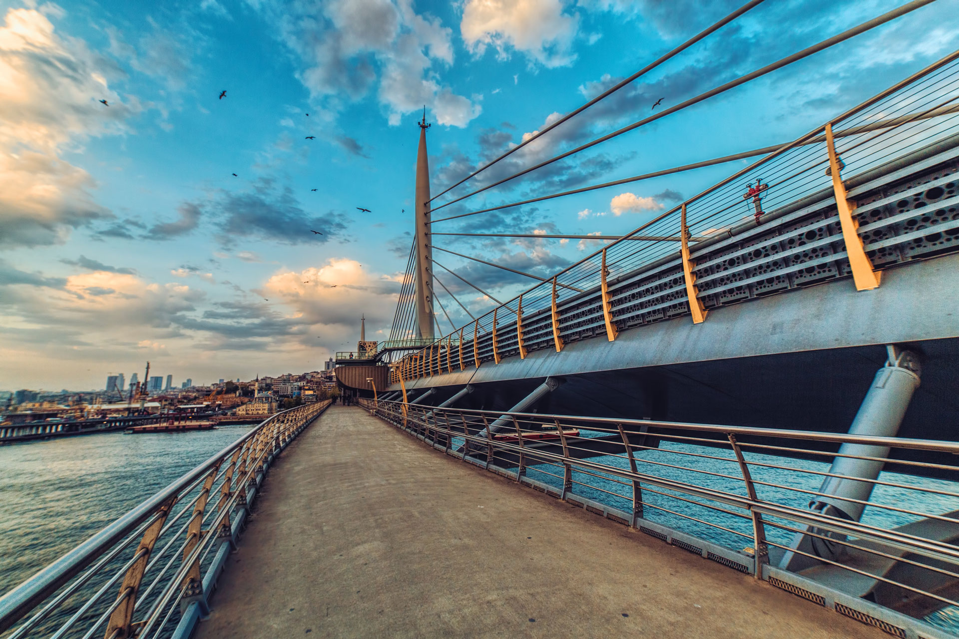  A bridge with a separate pedestrian bridge  