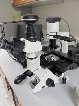 Optical Microscope