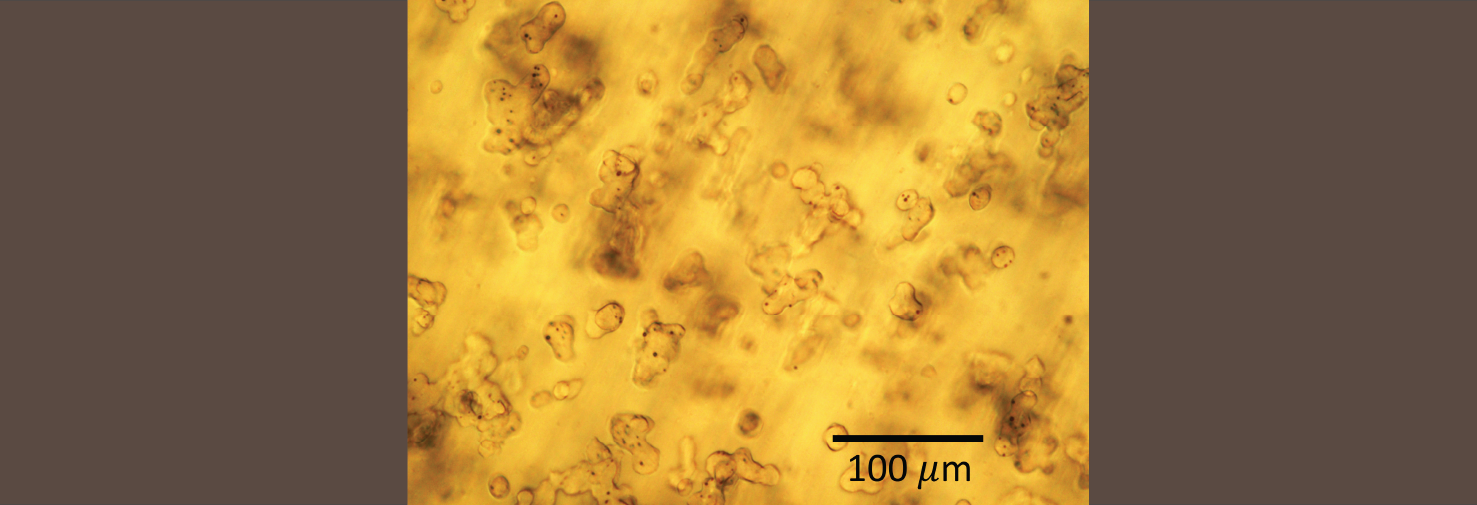 Capillary pattern up close for soft materials