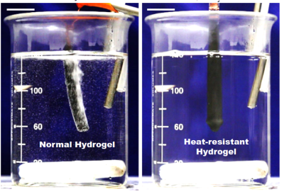 Hydrogel that survives deep frying