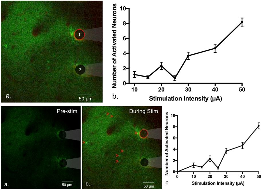 Stimulation with Neural Electrodes