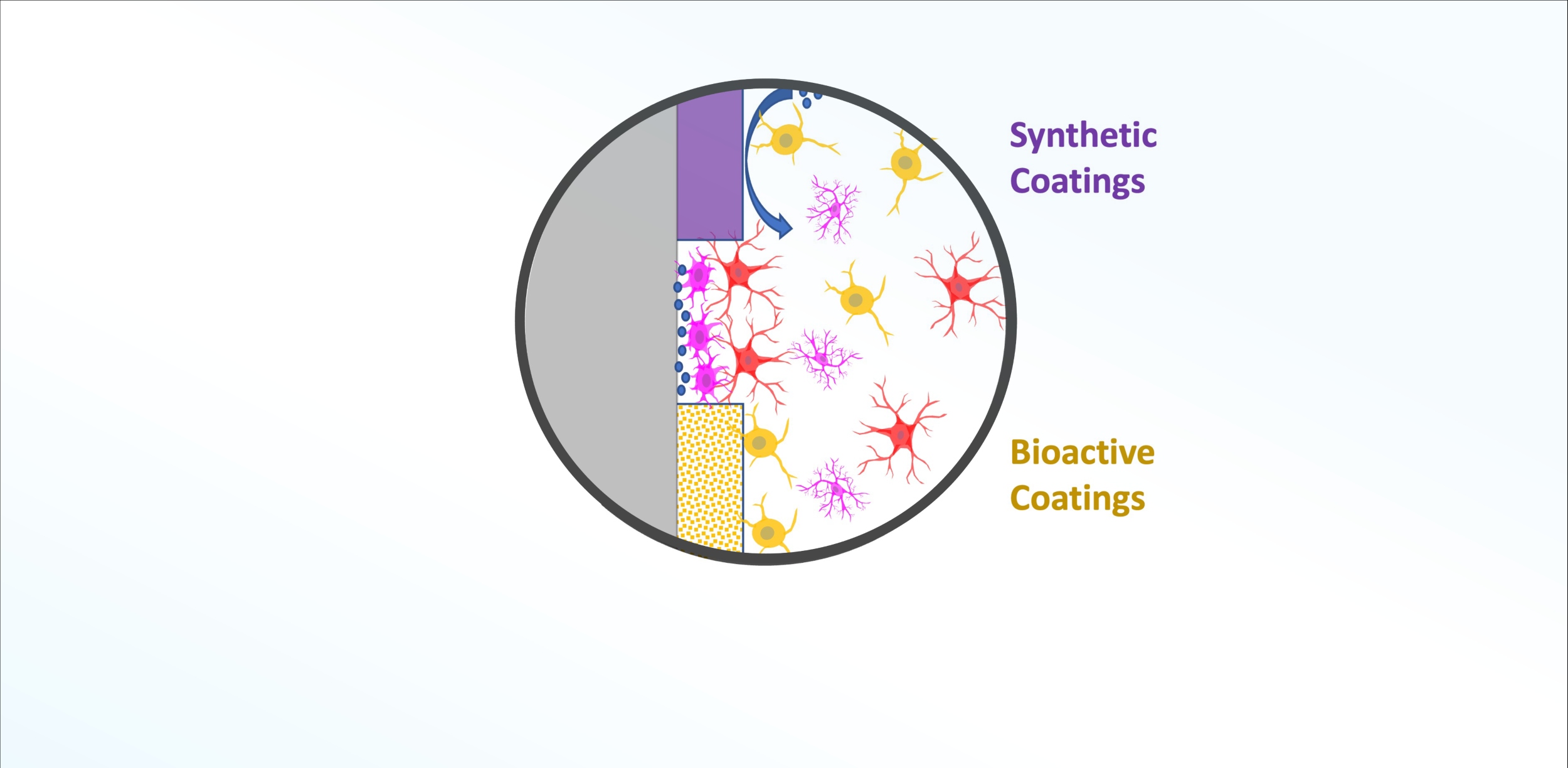 Illustration of synthetic coatings and bioactive coatings together