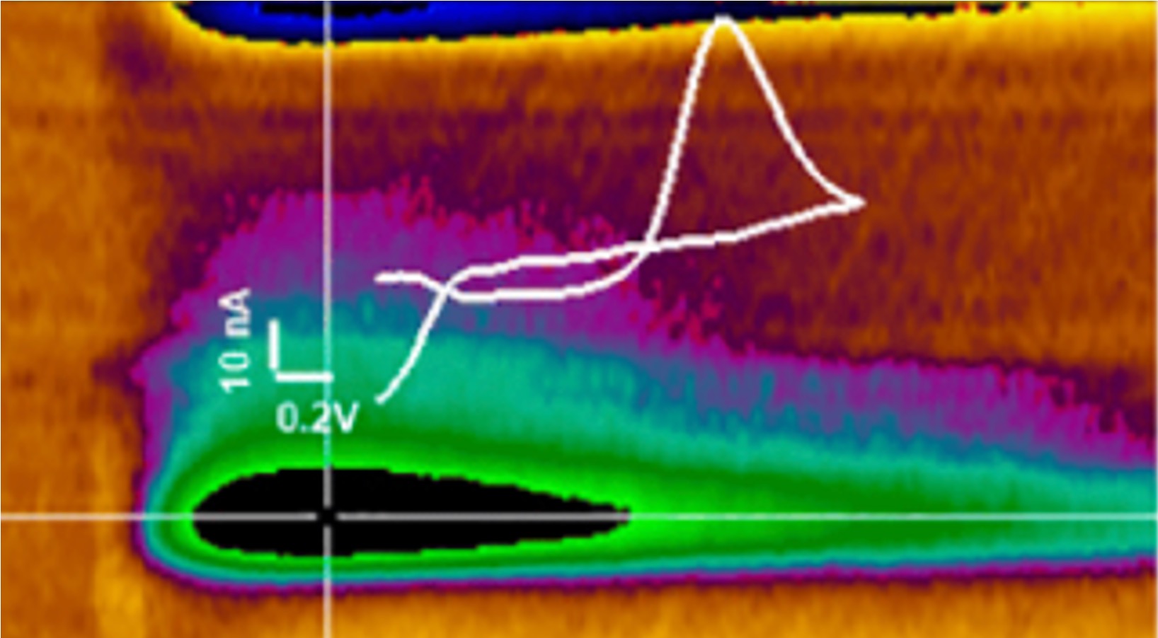 A real-time heat map graphic of biochemical signals 