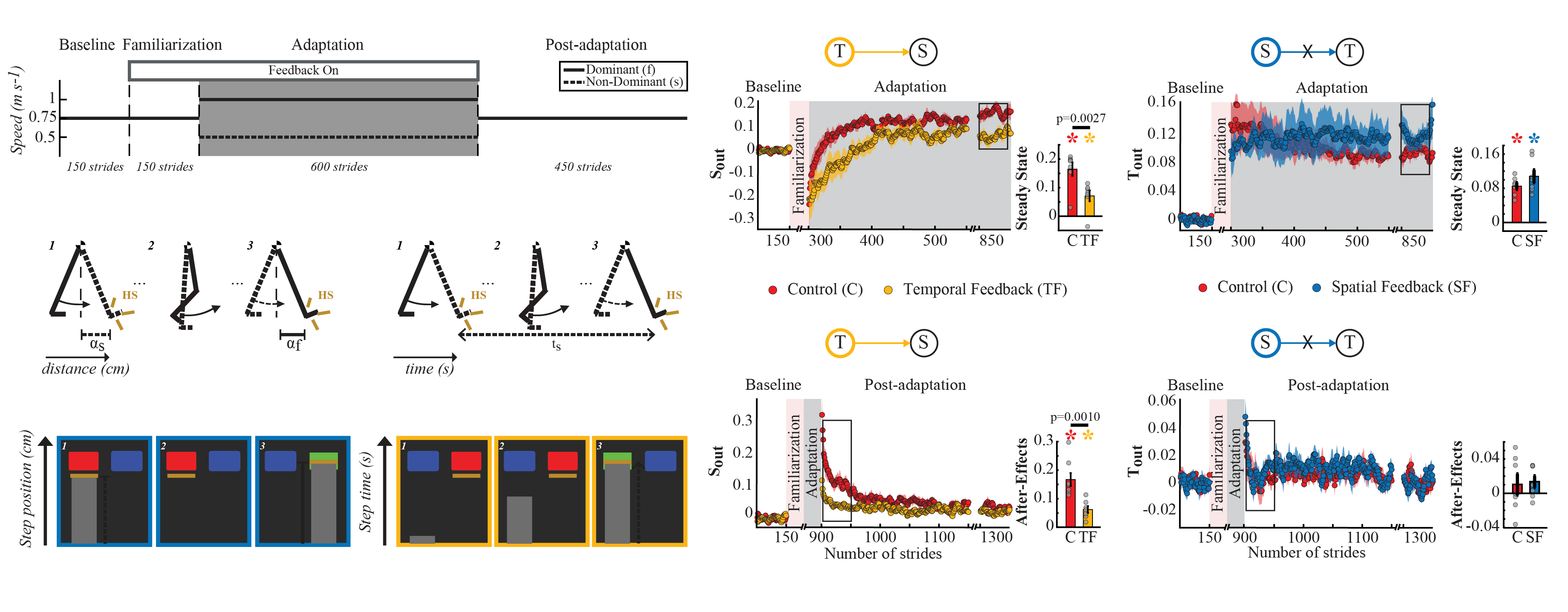 Data and graphs from the step time study